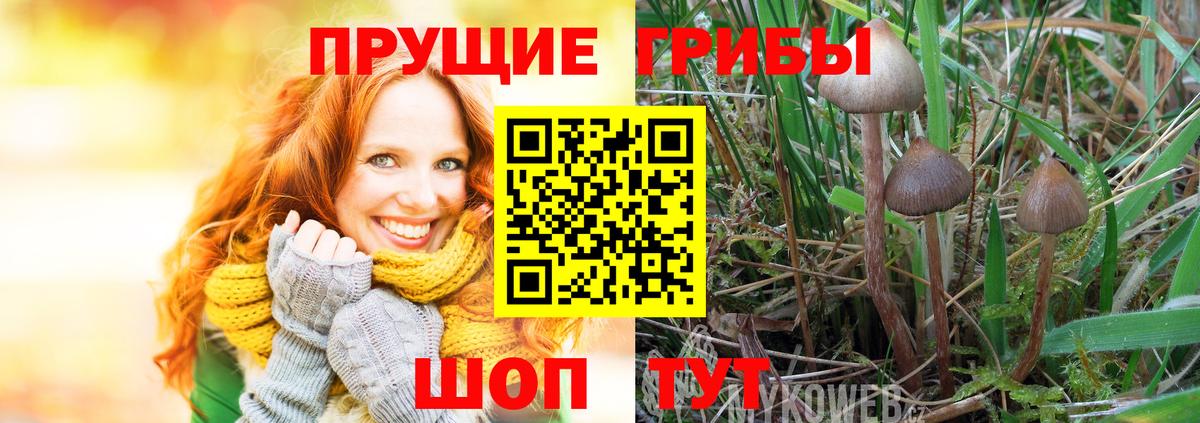 Галлюциногенные грибы мицелий  цена наркотик  Вход с VPN  Джанкой  Галлюциногенные грибы Psilocybe 